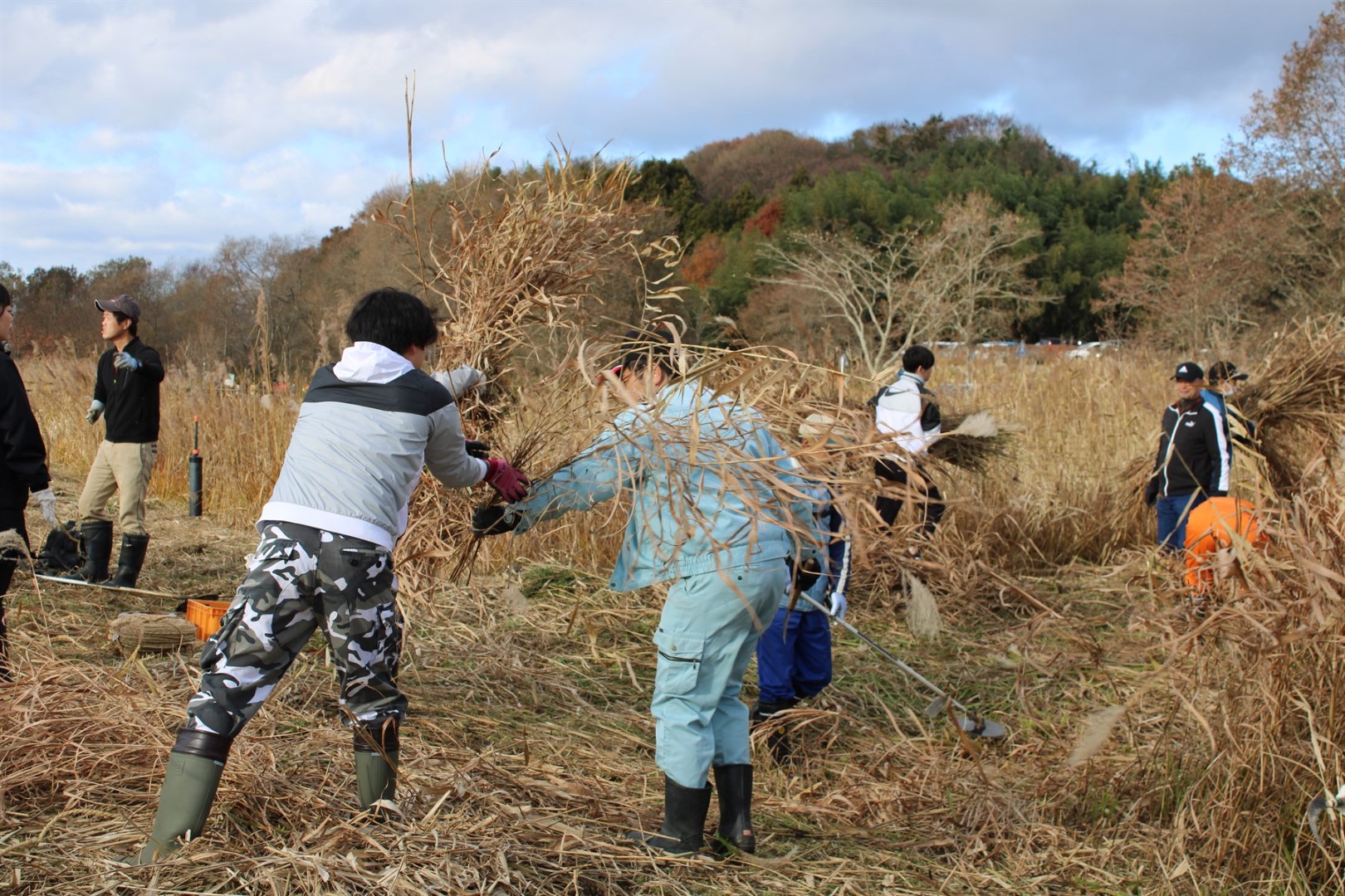 2024年の伊豆沼環境保全活動の様子