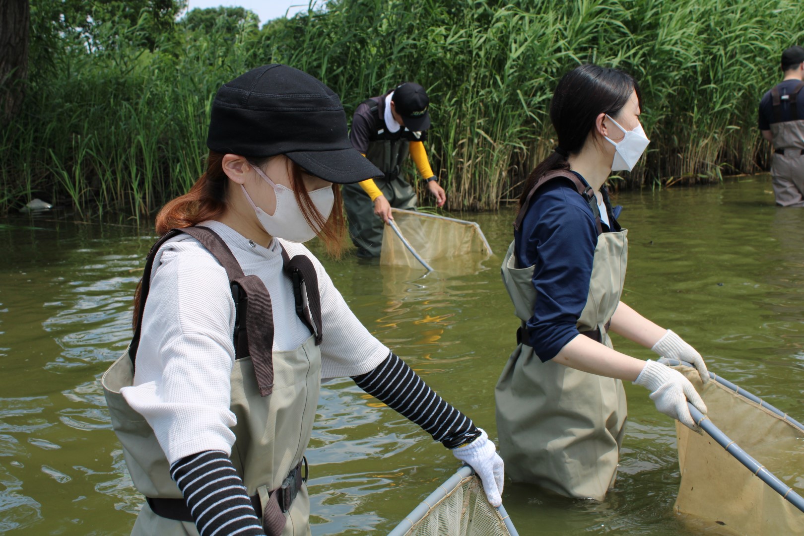 2025年の伊豆沼保全活動の様子