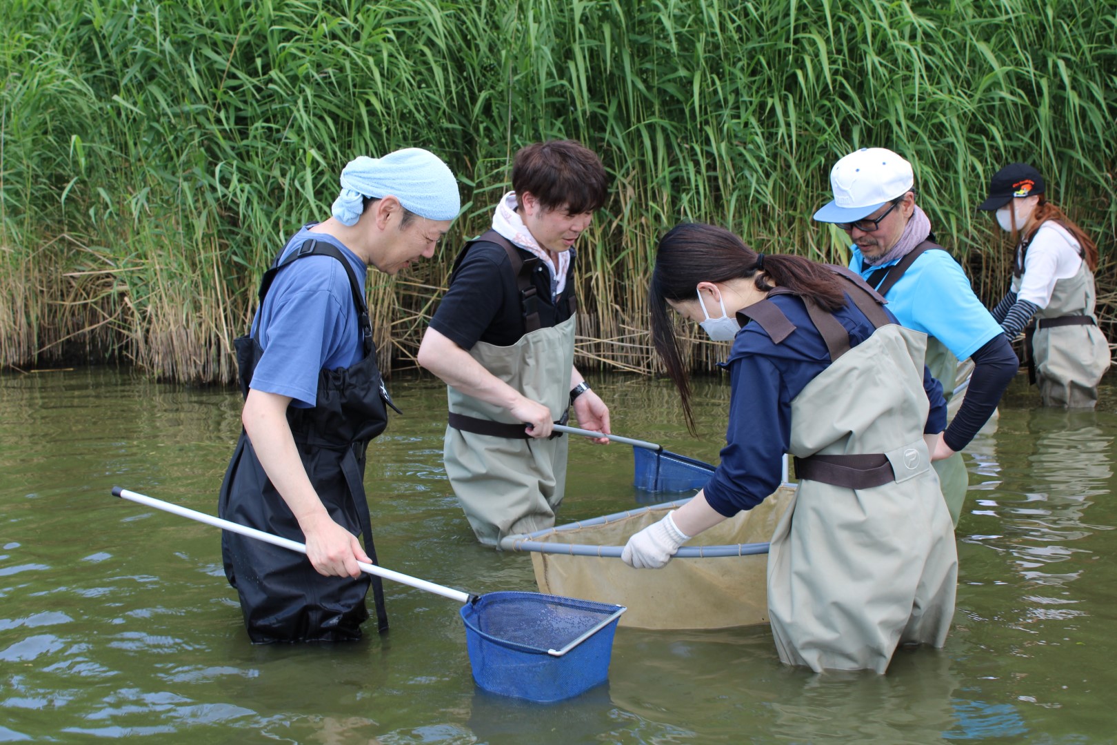 2025年の伊豆沼保全活動の様子