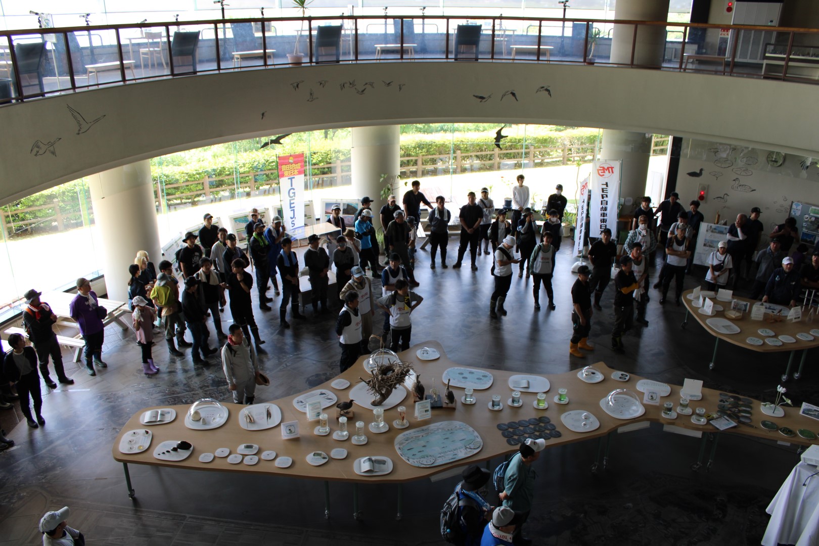 2025年の伊豆沼保全活動の様子