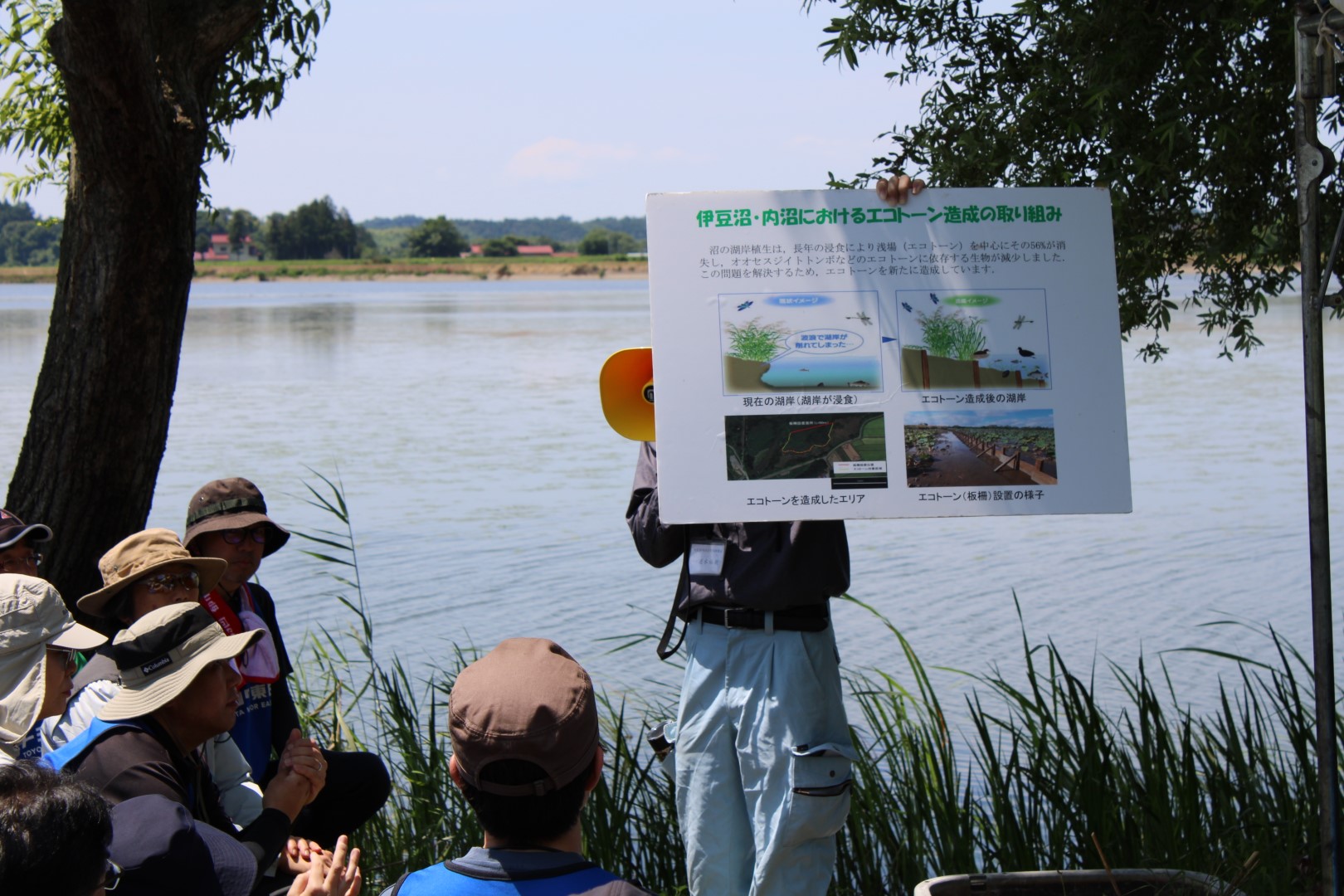 2025年の伊豆沼保全活動の様子