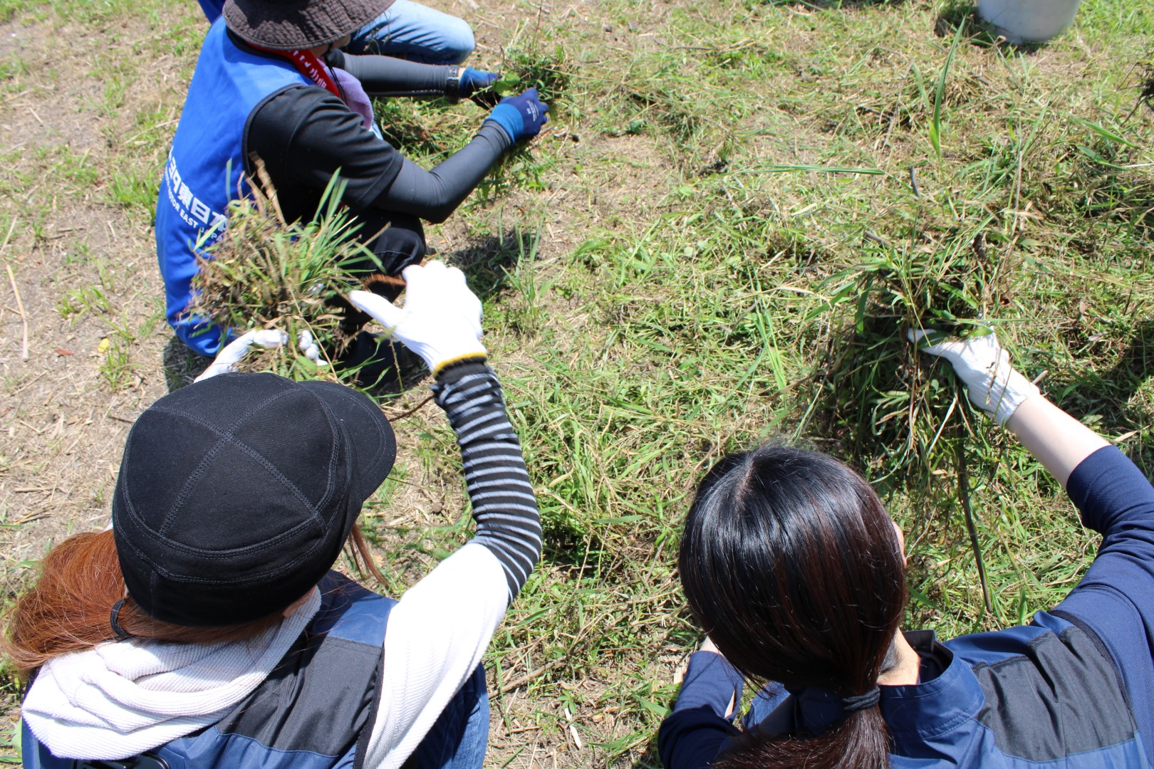 2025年の伊豆沼保全活動の様子