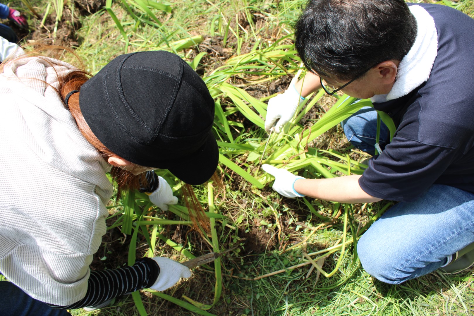 2025年の伊豆沼保全活動の様子