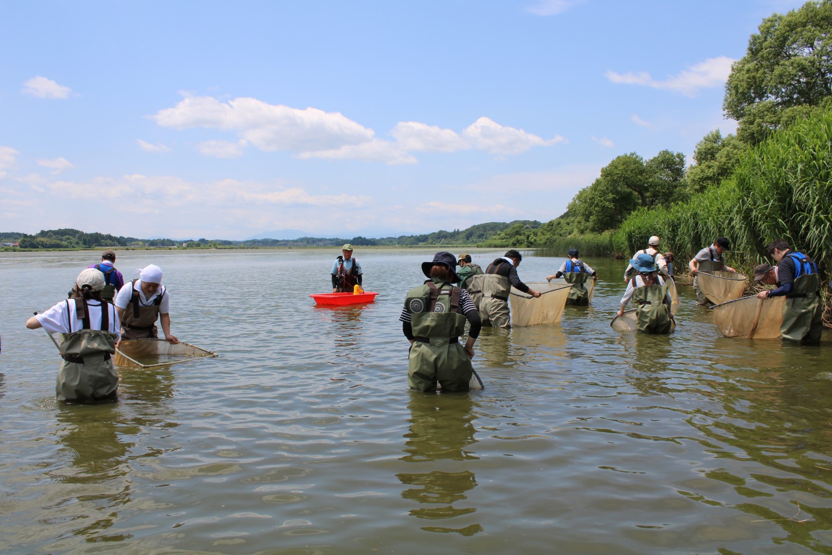 2025年の伊豆沼保全活動の様子
