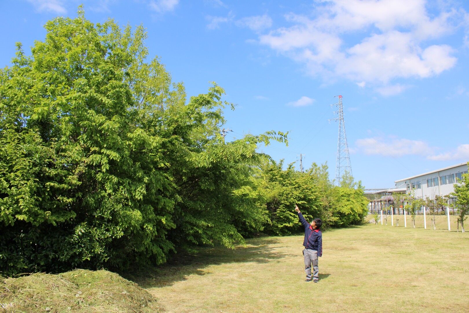 2025年5月の定点観測の様子