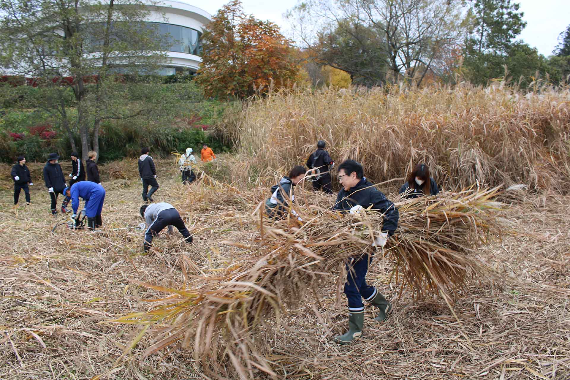2025年11月9日の伊豆沼環境保全活動の様子