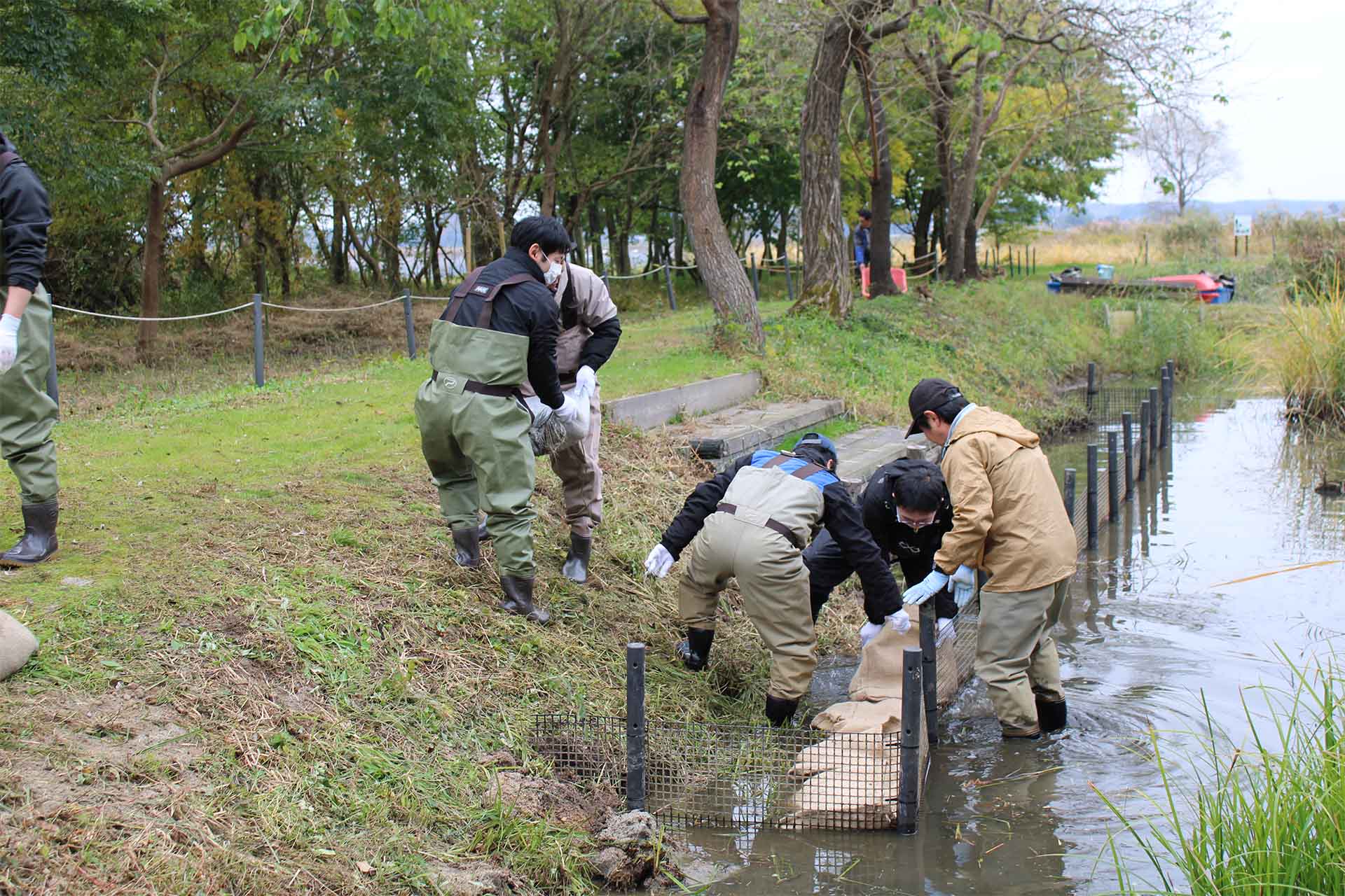 2025年11月9日の伊豆沼環境保全活動の様子