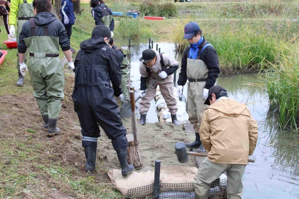 2025年11月環境池の整備