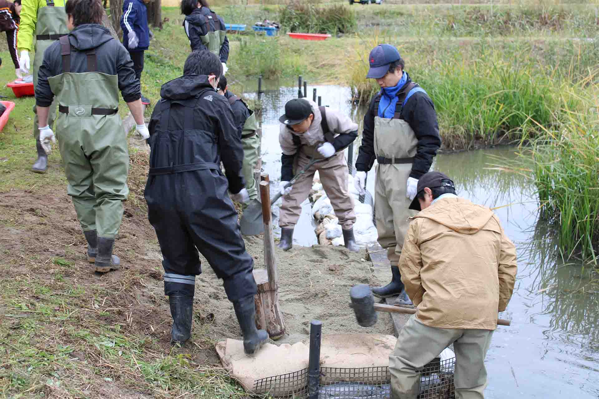 2025年11月環境池の整備